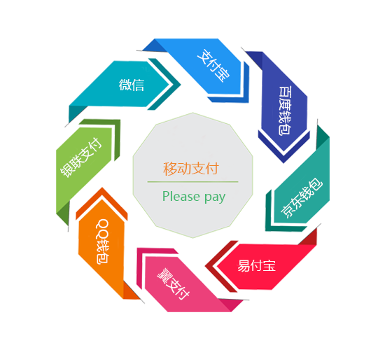 支付类型